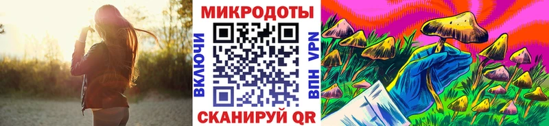 мега вход  Обнинск  Псилоцибиновые грибы GOLDEN TEACHER 