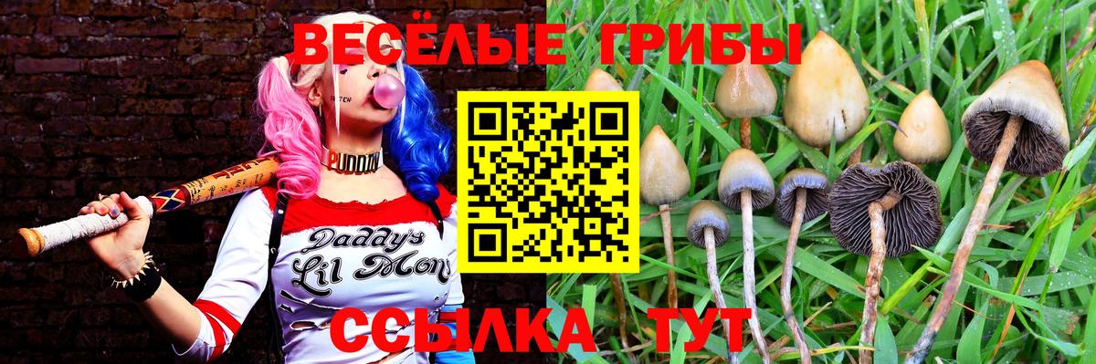 Галлюциногенные грибы GOLDEN TEACHER  Псилоцибиновые грибы ЛСД  Вход с VPN  Обнинск 